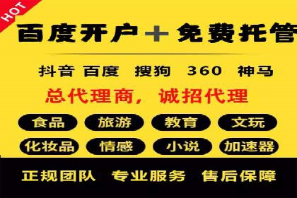 SEM代运营公司案例分析报告